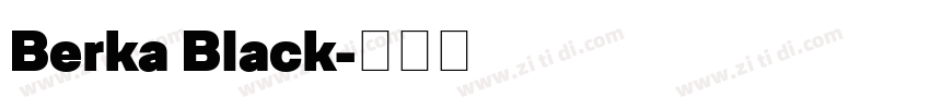 Berka Black字体转换